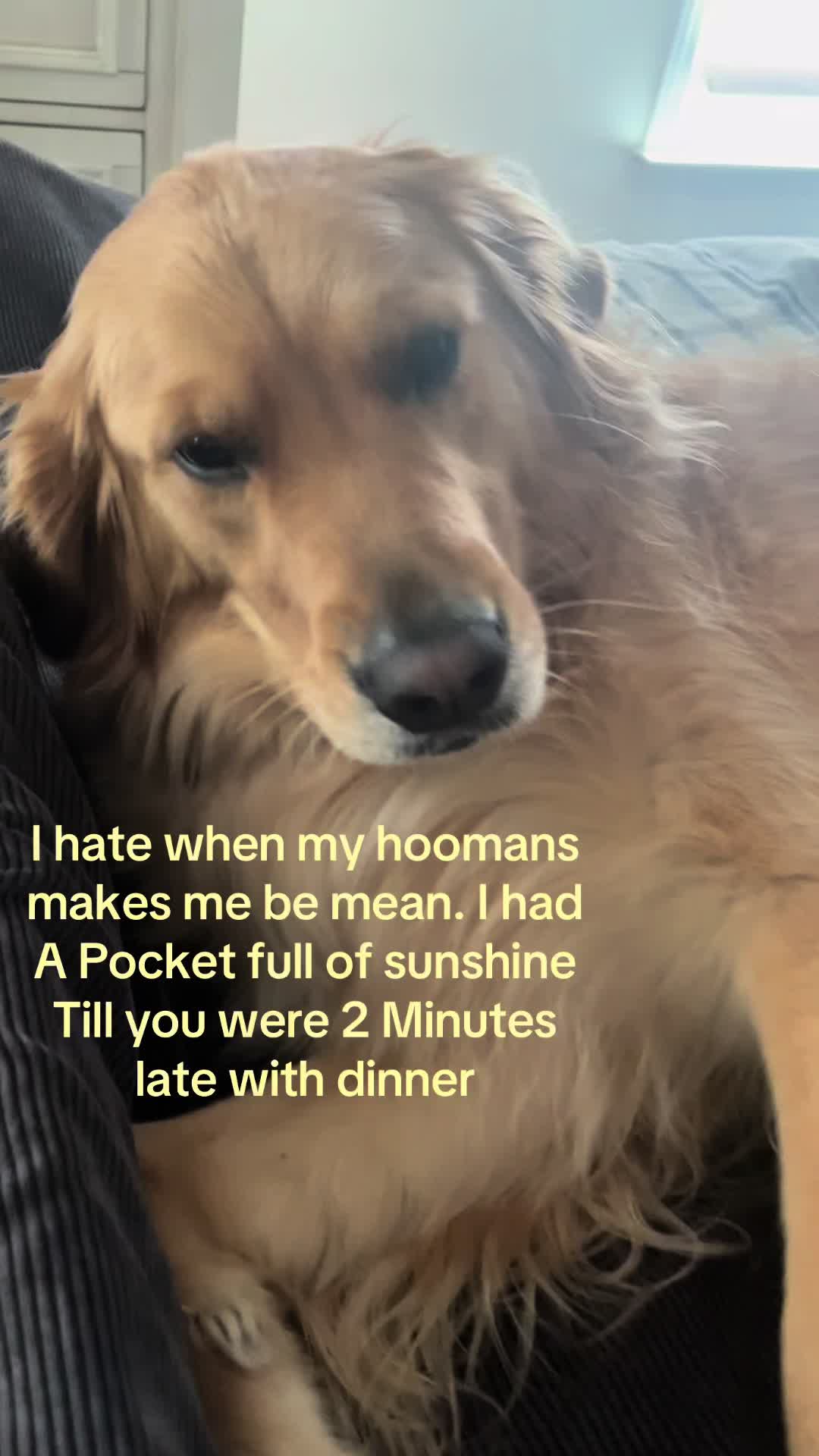 @Winnie the Golden Girly