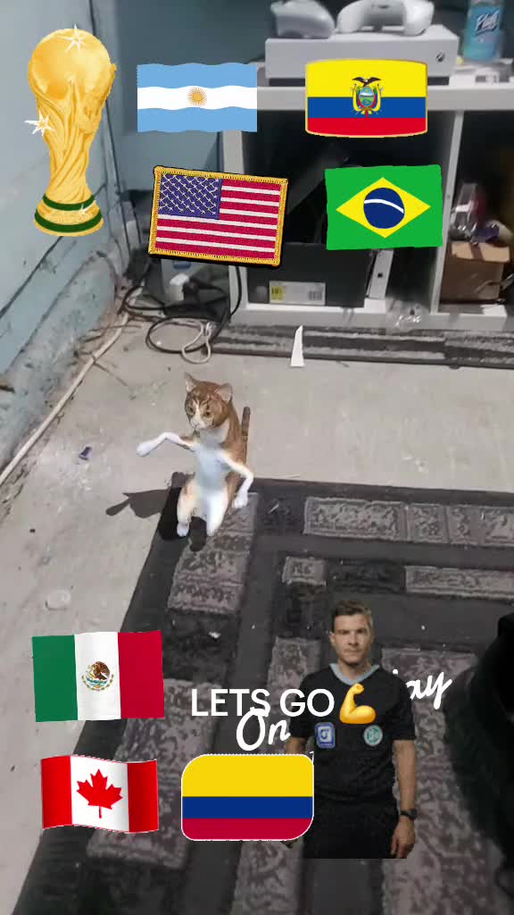 @Lucio Reza