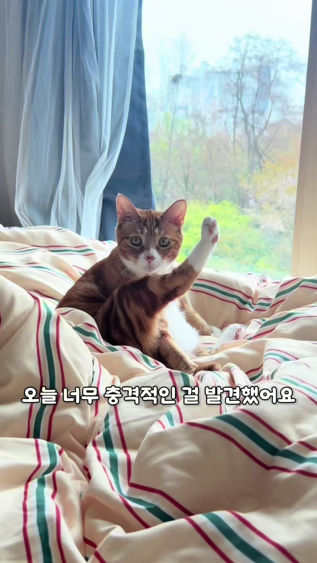 @뮤춘삼