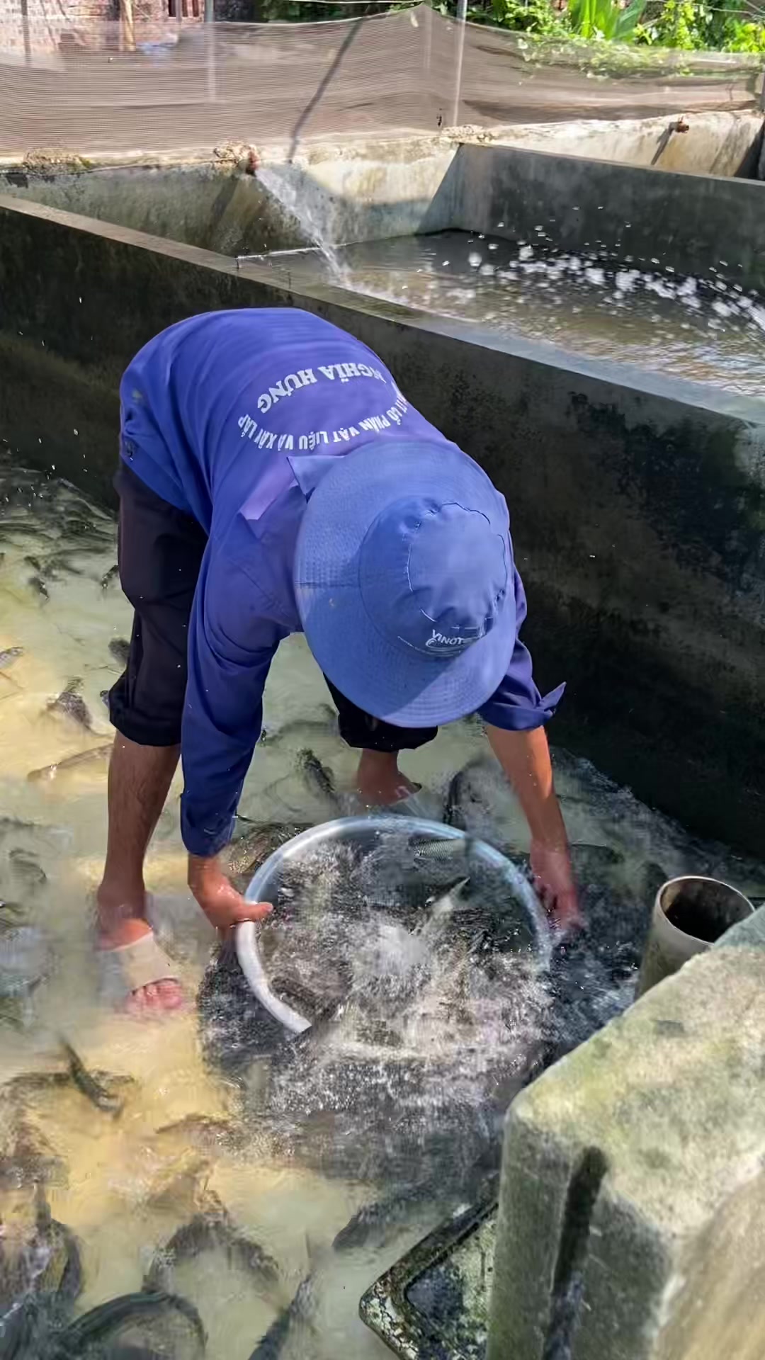 @Trại Cá Giống Quang Lâm