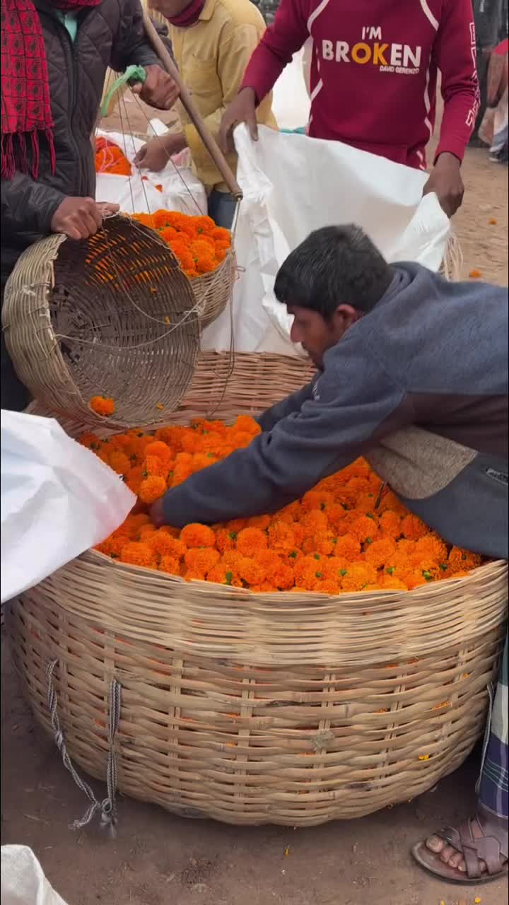 @đŋjasimđāĻĒā§āϰāĻā§āϤāĻŋ đāĻĒā§āϰā§āĻŽāĻŋđŋ
