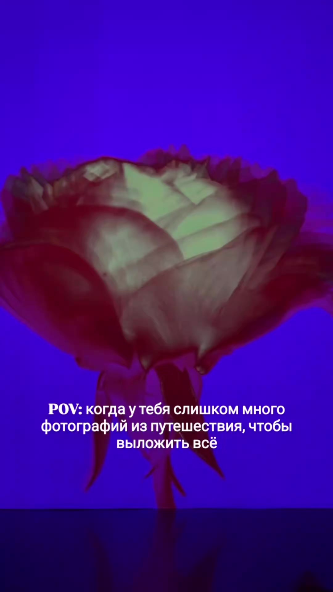 @Та самая виноградинка