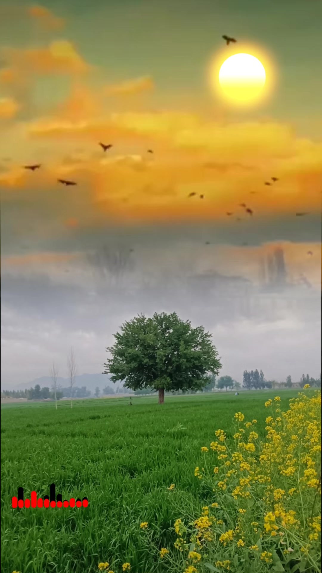 @𝐐𝐔𝐑𝐄𝐒𝐇𝐈𝟕𝟕