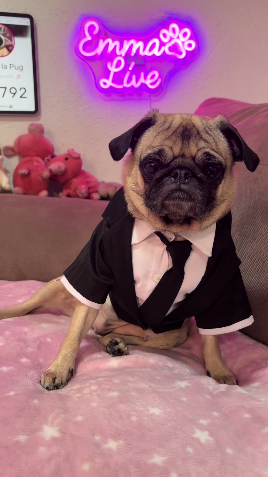 @Emma la Pug
