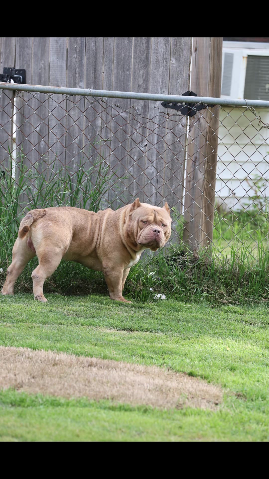 @Carters BullyHub