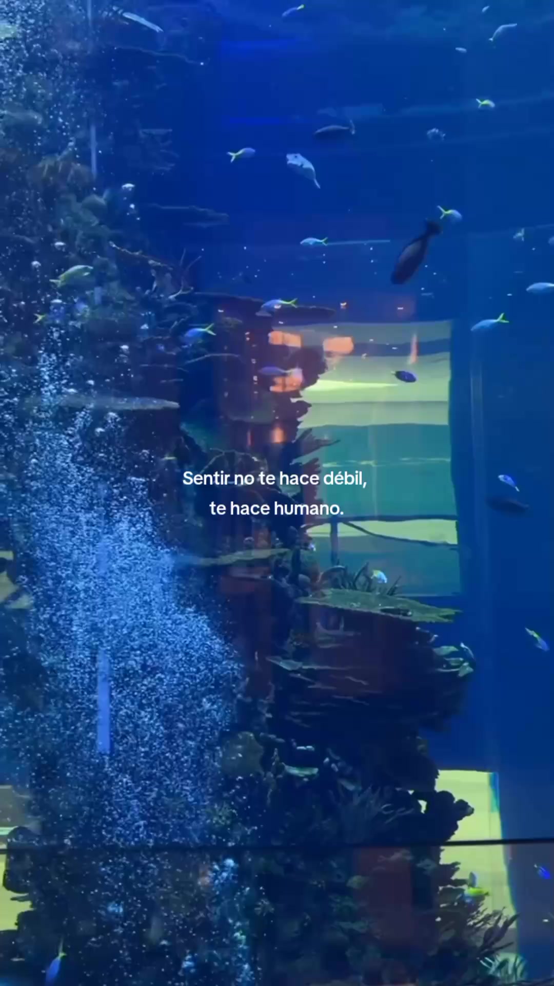 @Mariana