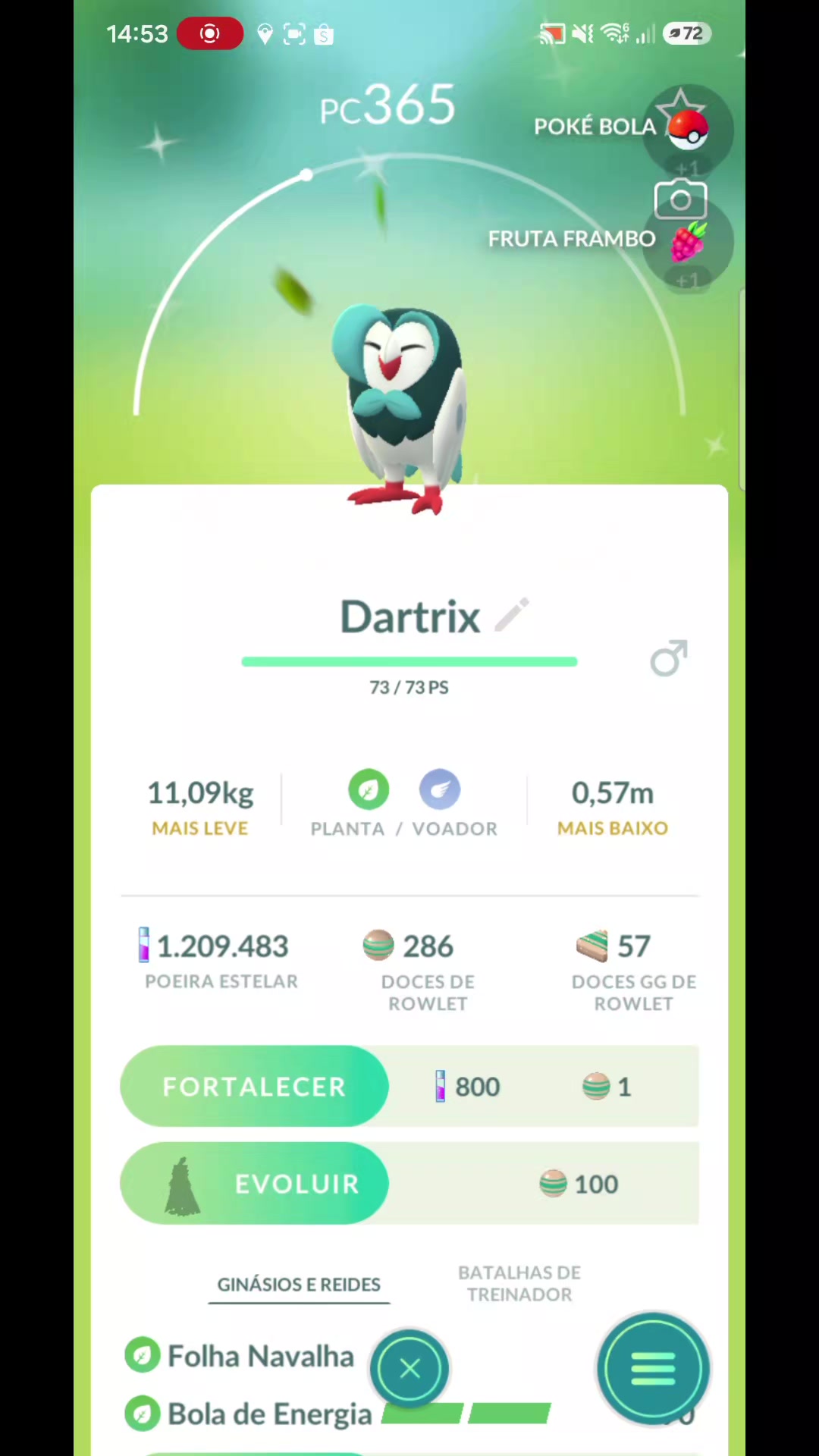 @Louvo Arceus
