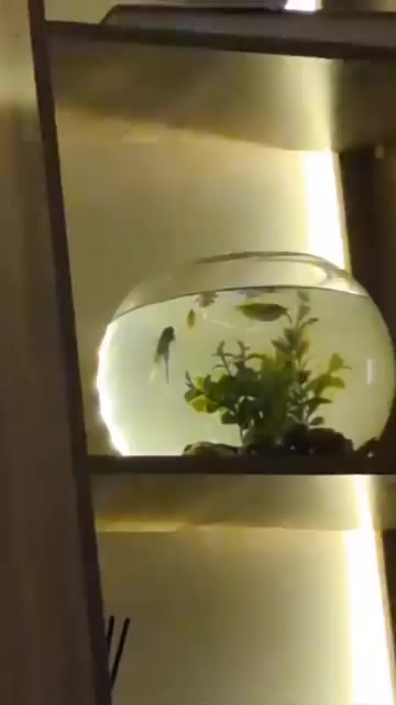 @fishtanks4u_