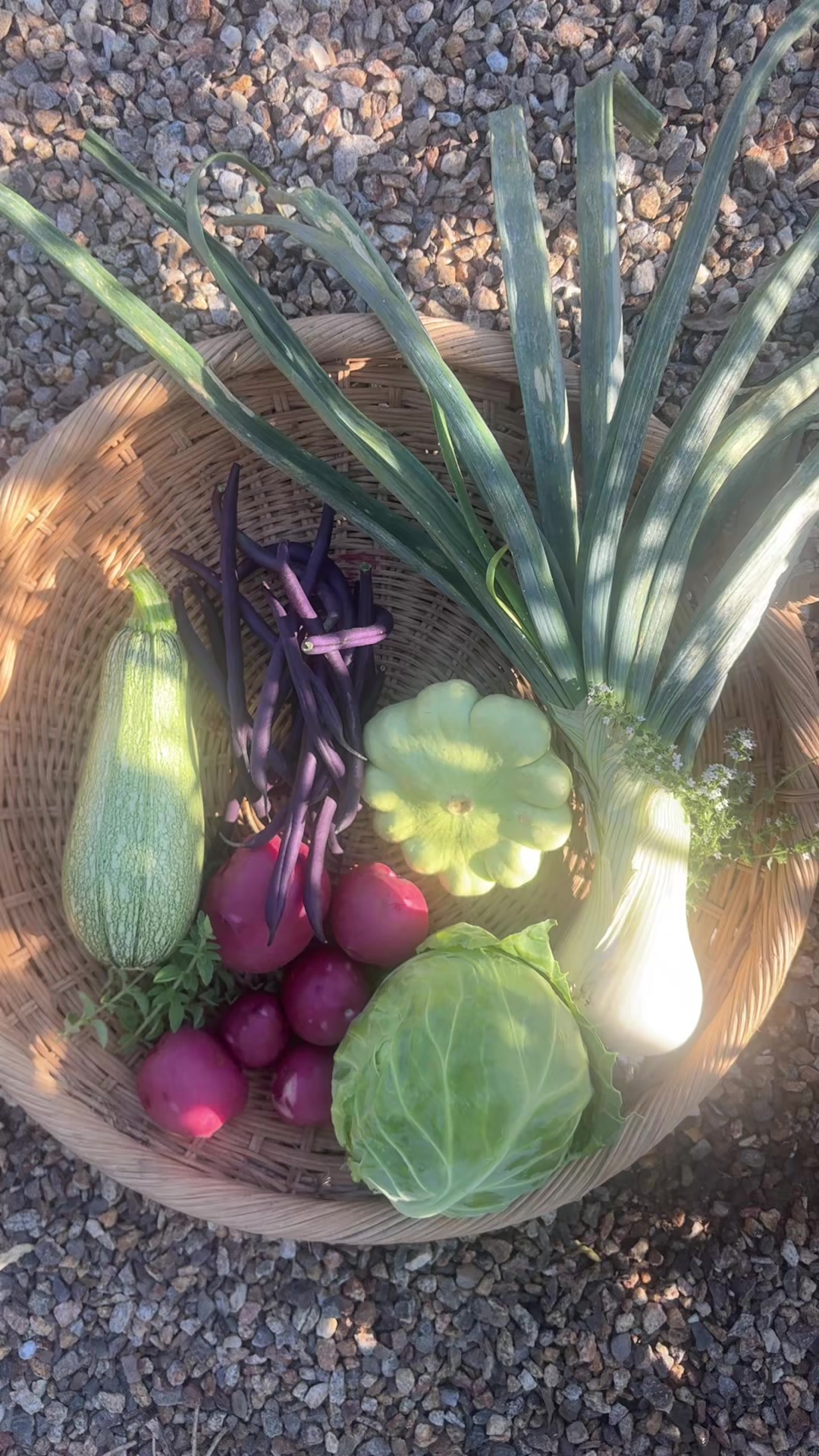 @earthboundgardening