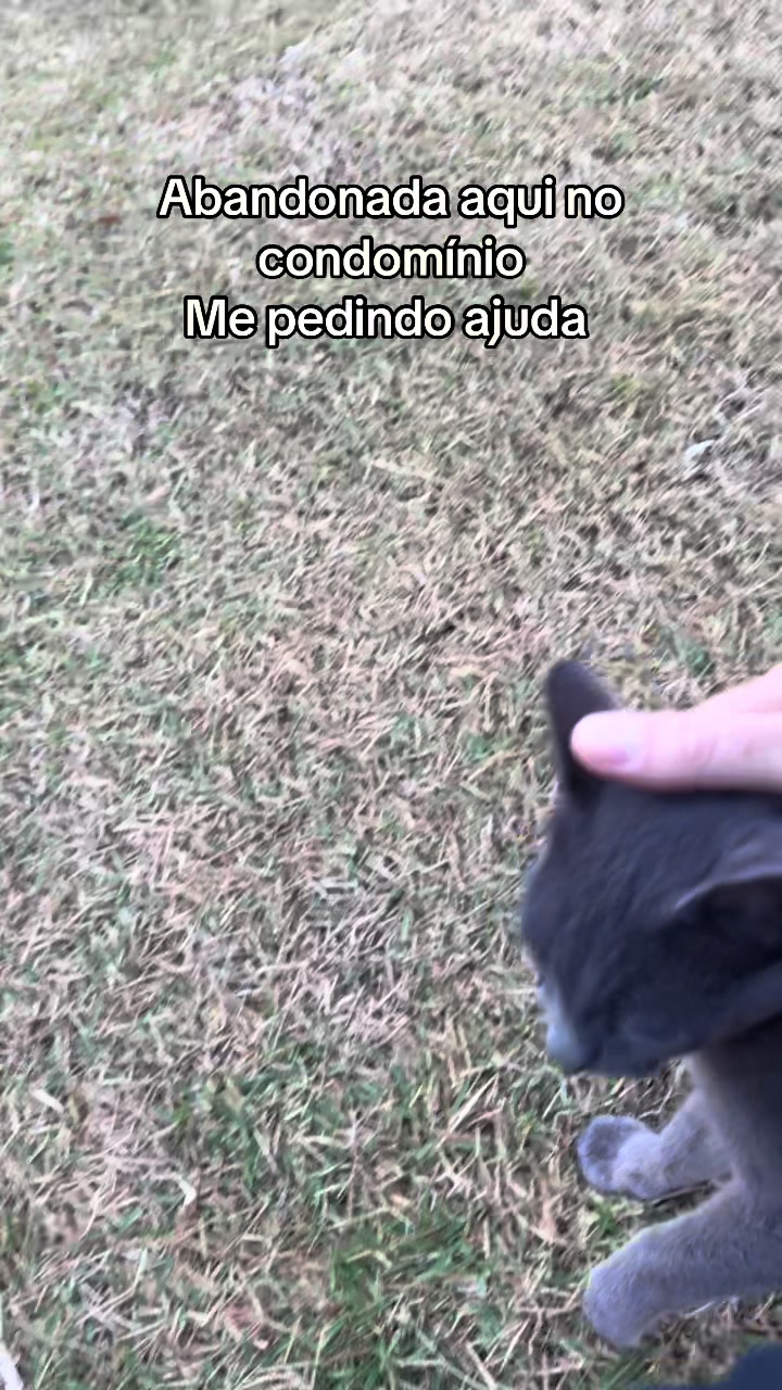 @Ed&ensp;pet