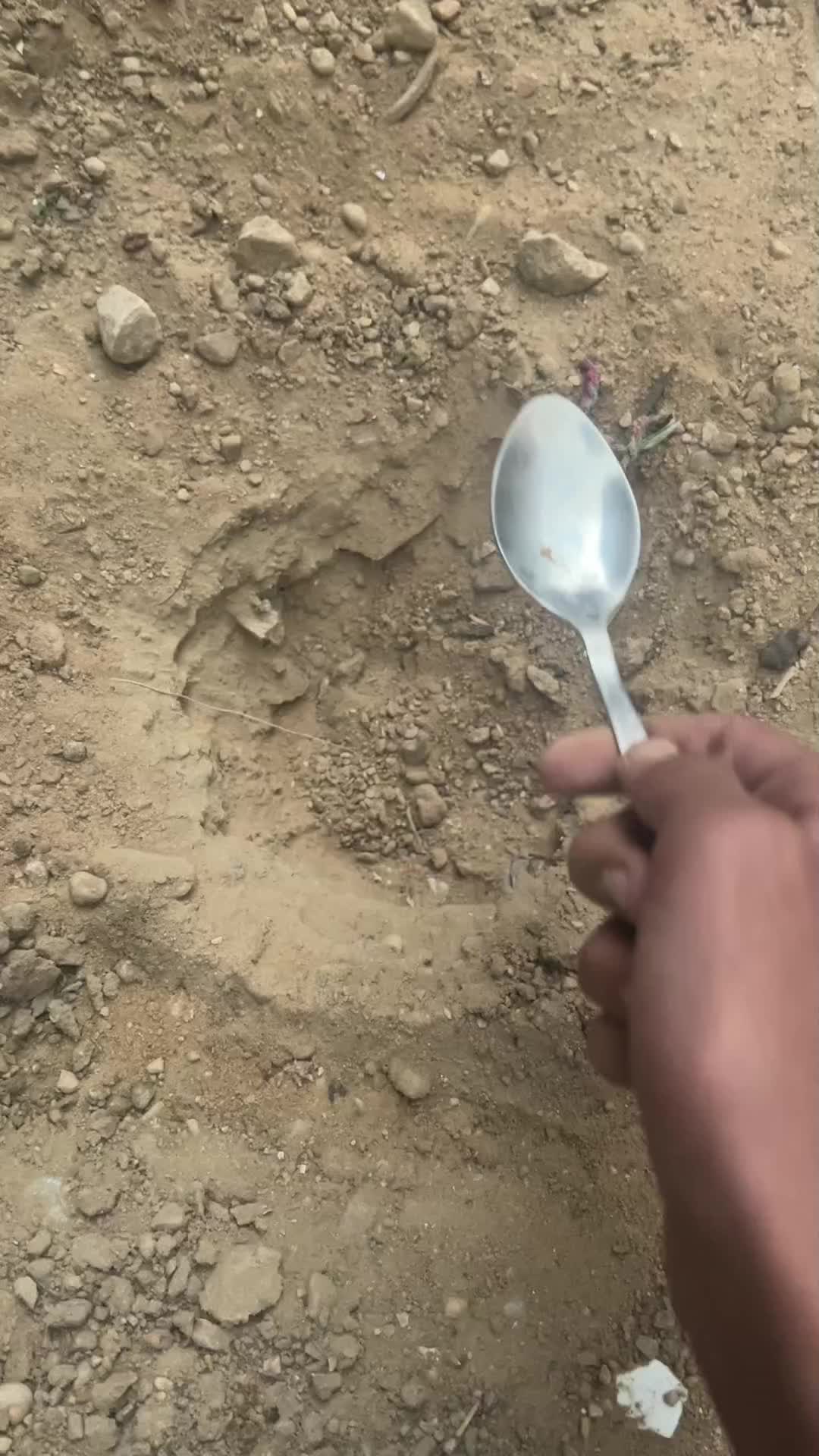 @spoon=bunker