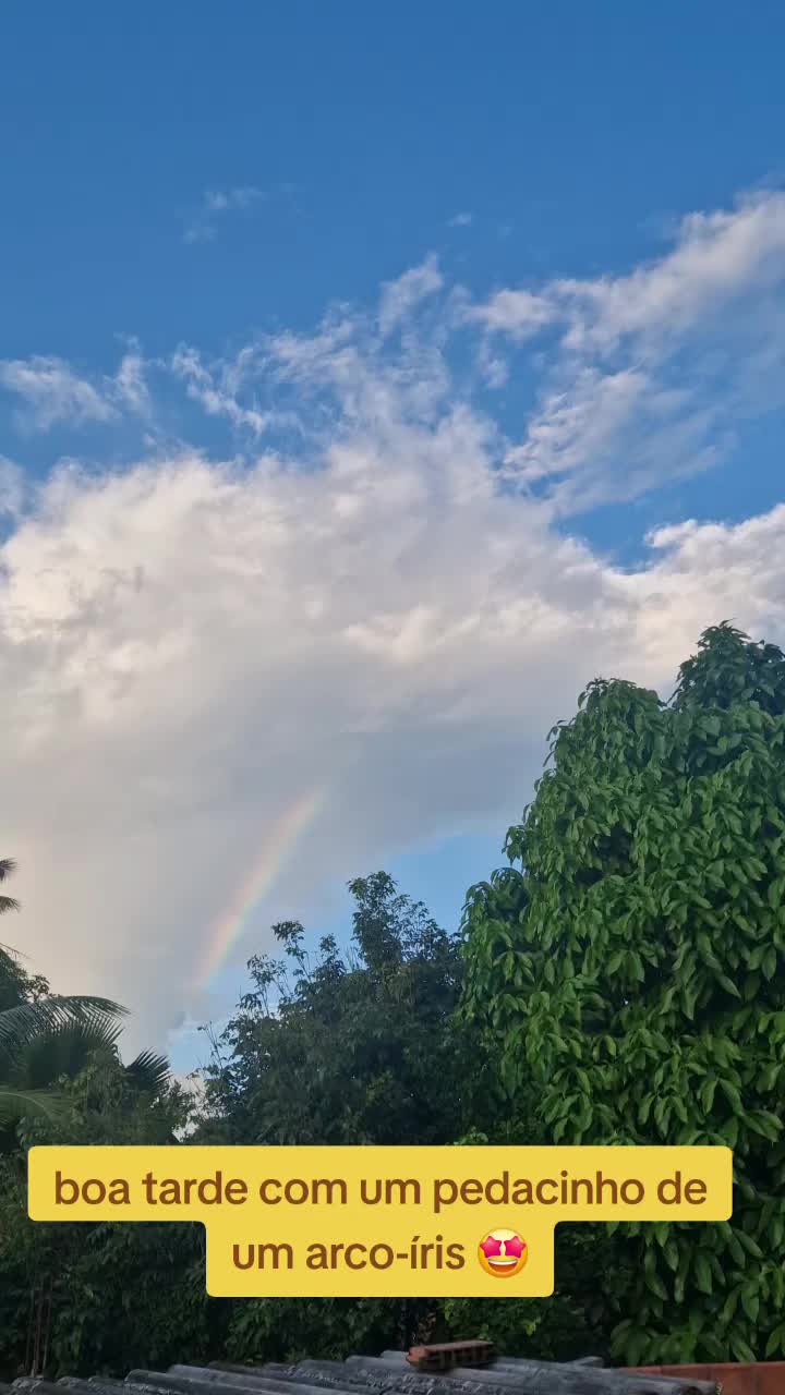 @celiapereira9823