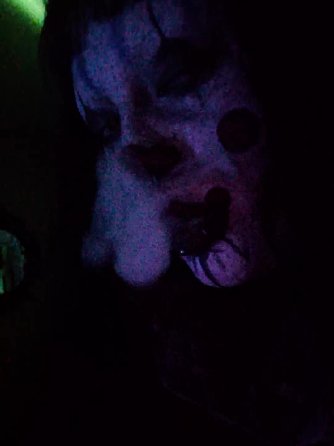 @ClownGutz🤡
