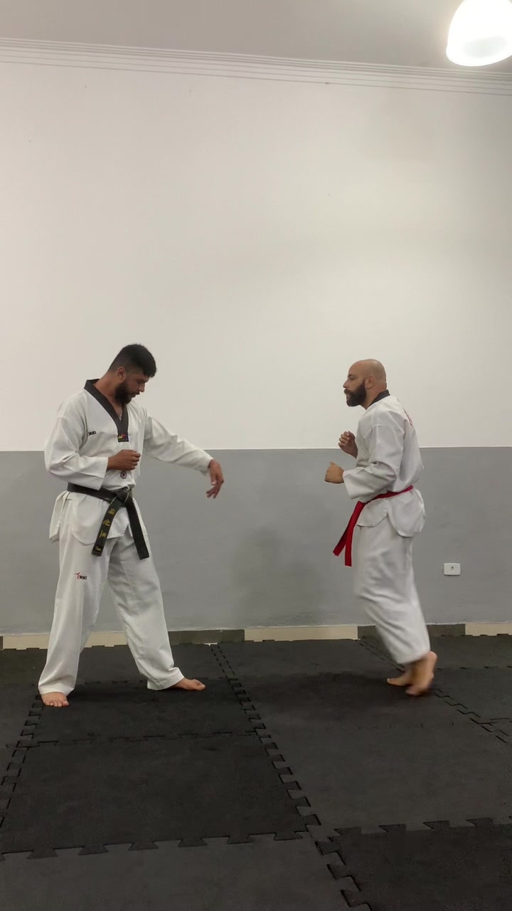@Tavares TKD Fight