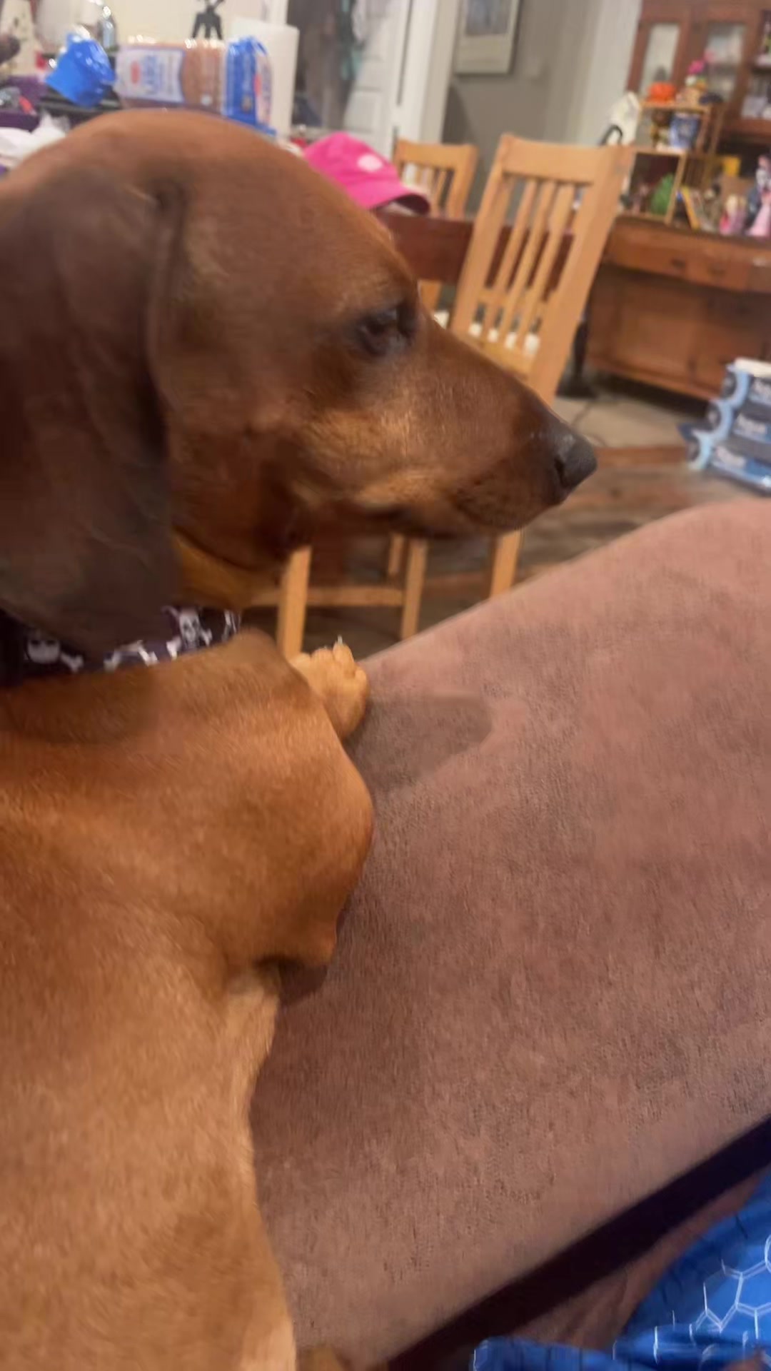 @ozzythedoxy