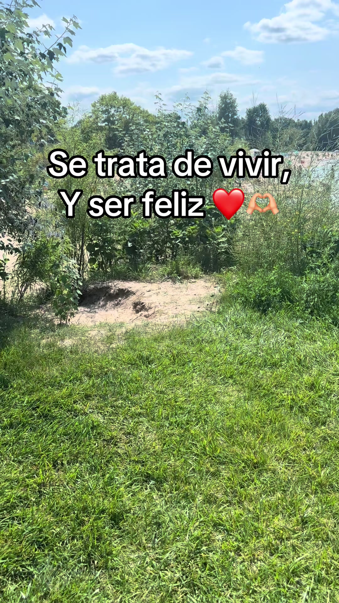 @🌺🌸🌹NES🌹🌸🌺