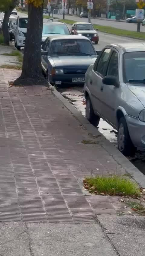@user4427116641457