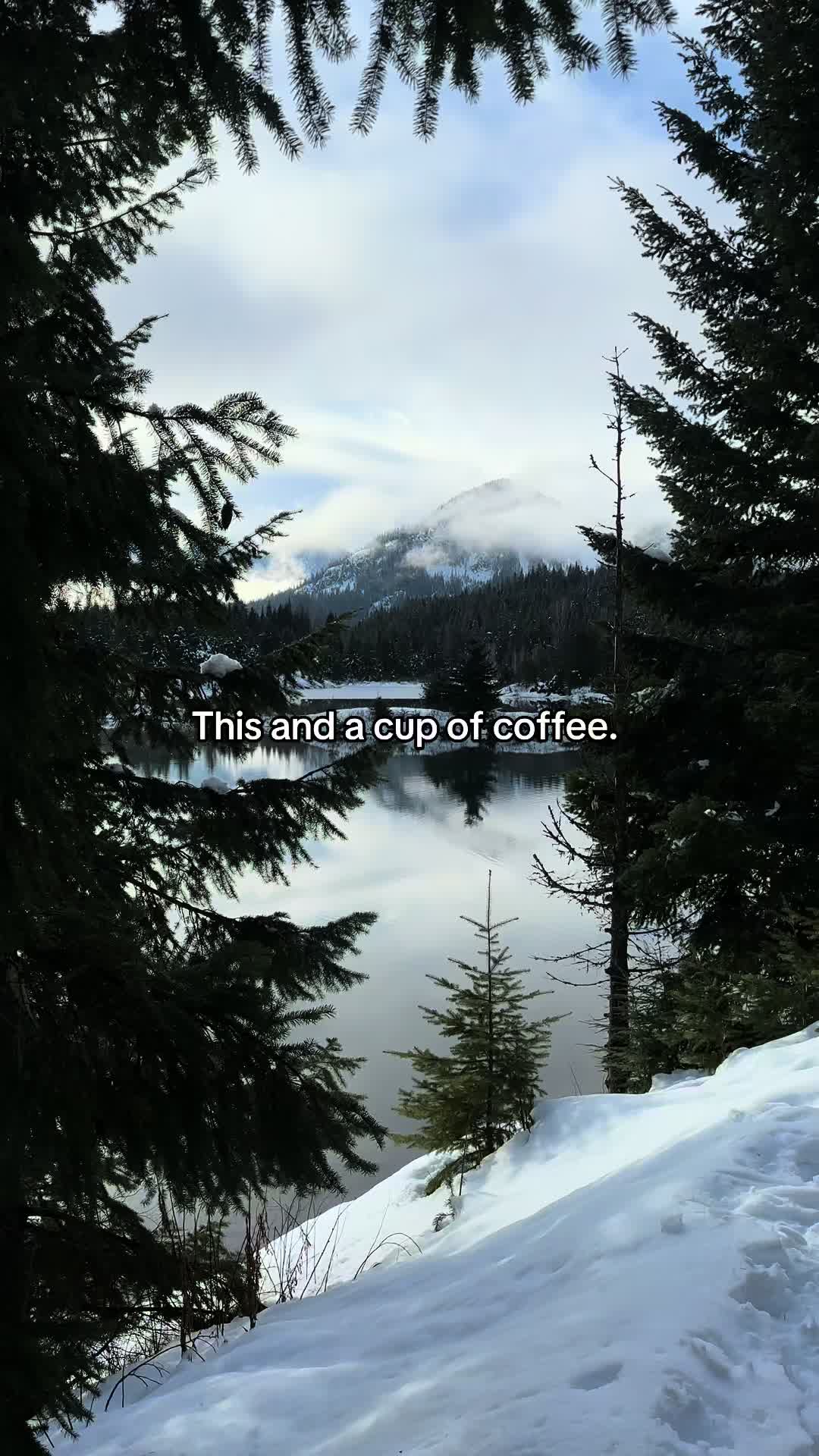 @🌲 James | WA 🏔️