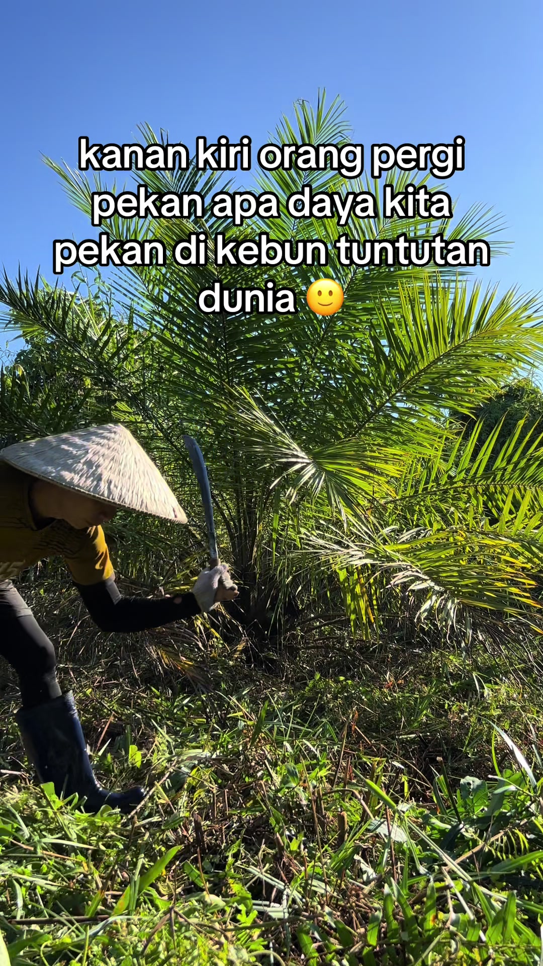 @KULEH
