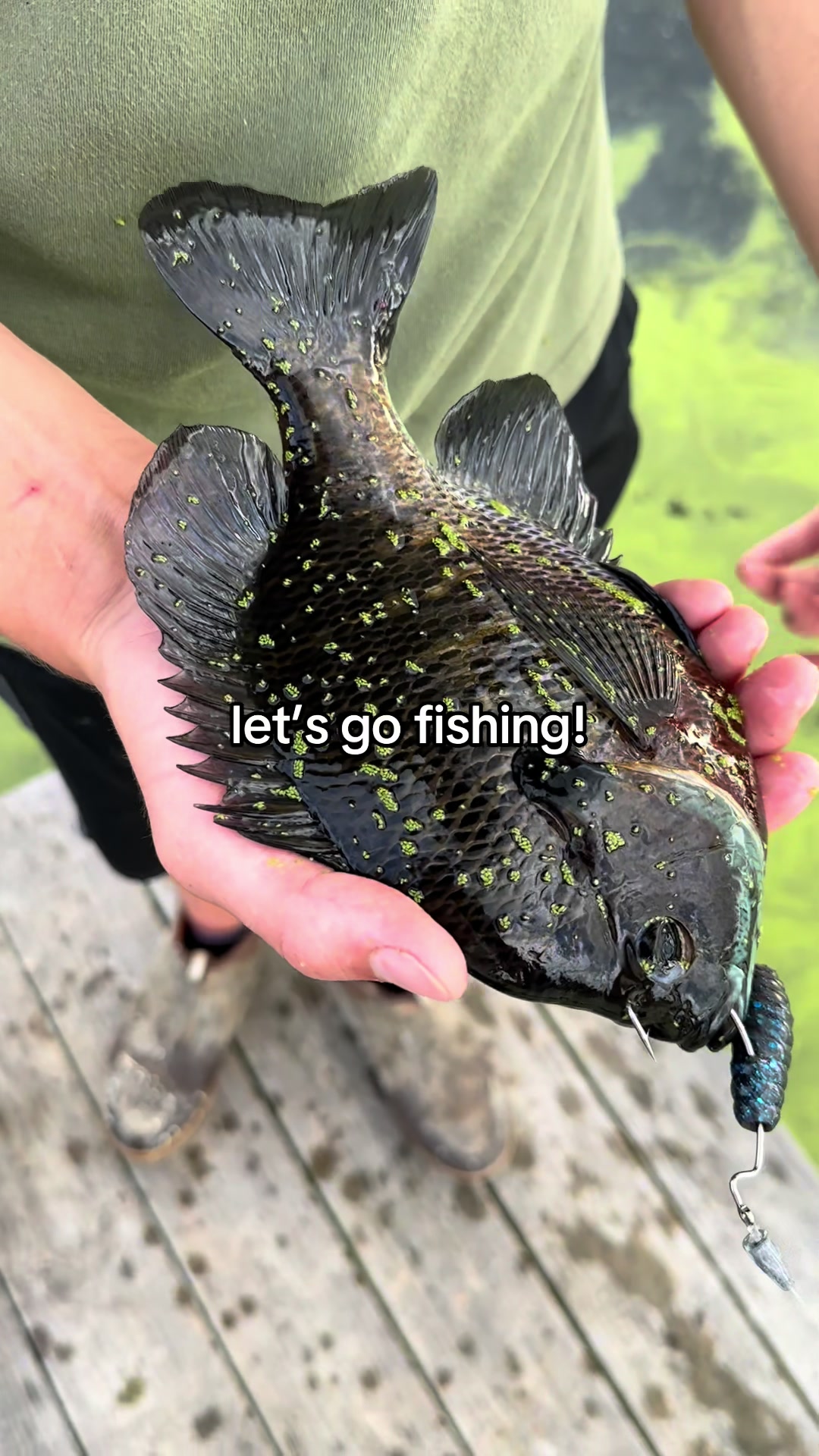 @Southeastern Outdoors