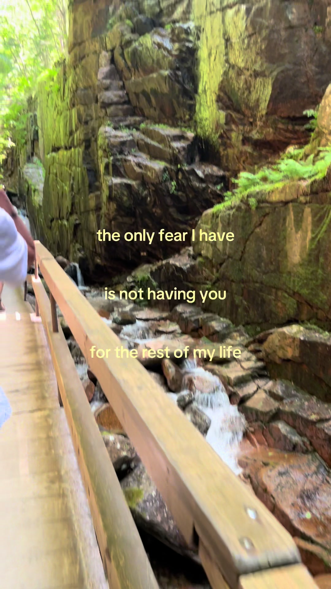 @🕊️