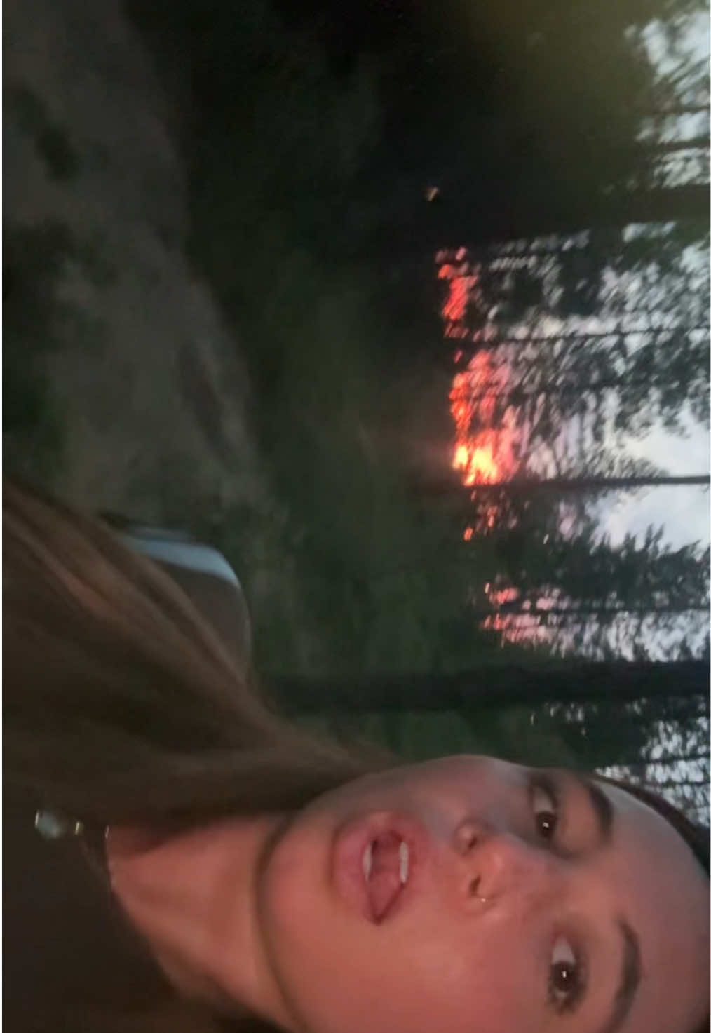 @sophiawillick444