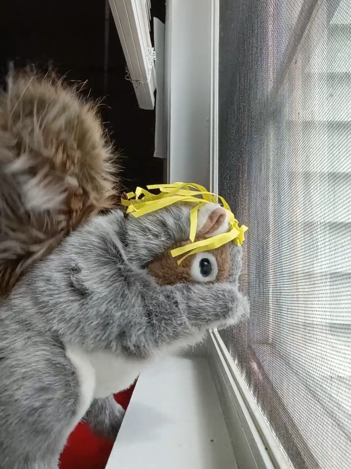 @Charles_TheSquirrel