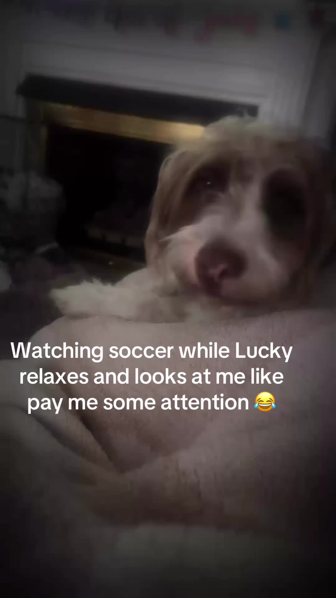 @chantal.elizabeth1