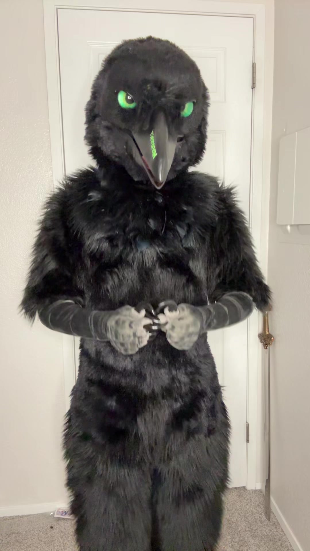 @Aeko🔜Furlandia 2026