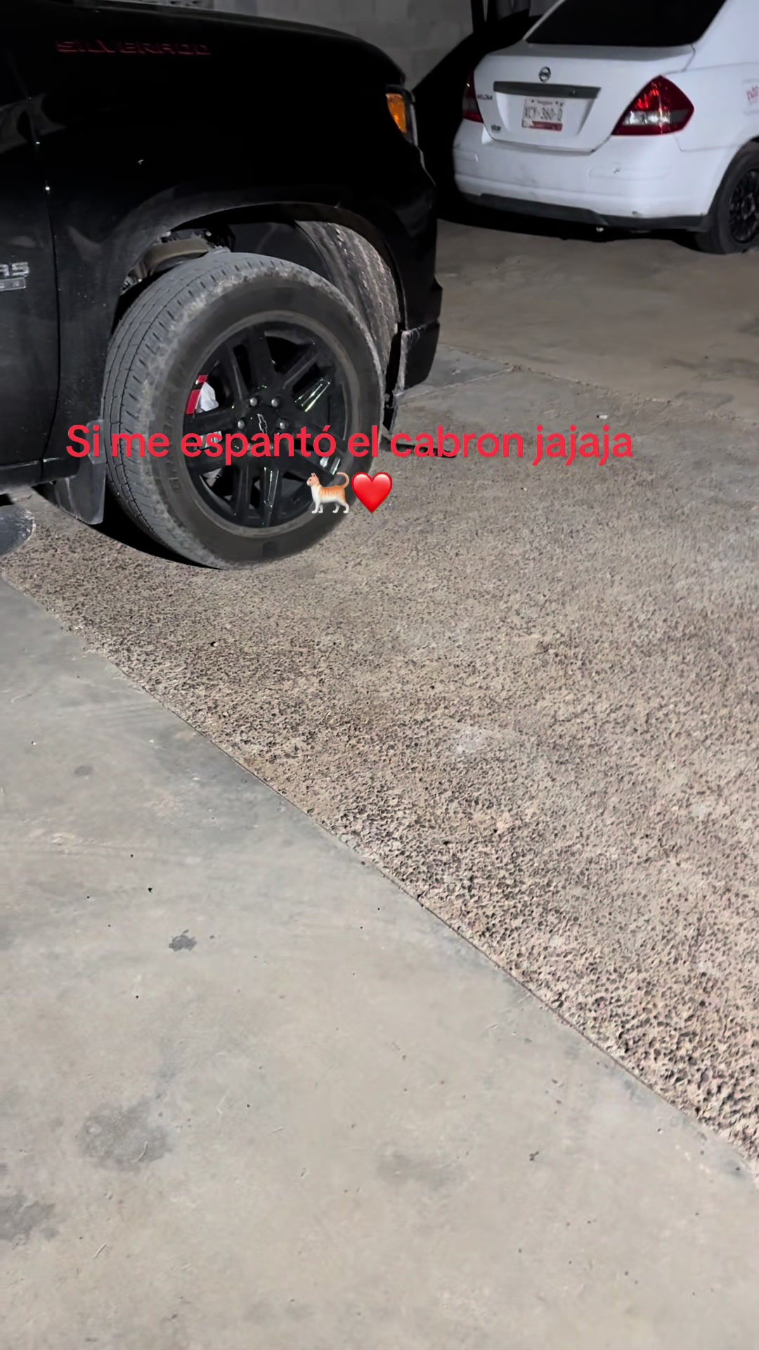 @Carlos Gardu&ntilde;o