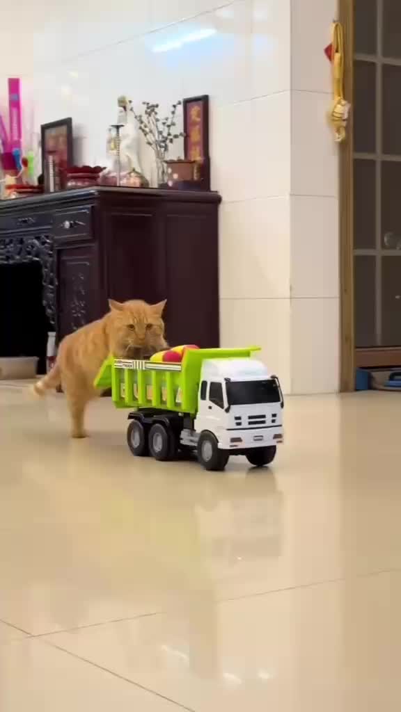 @Funny