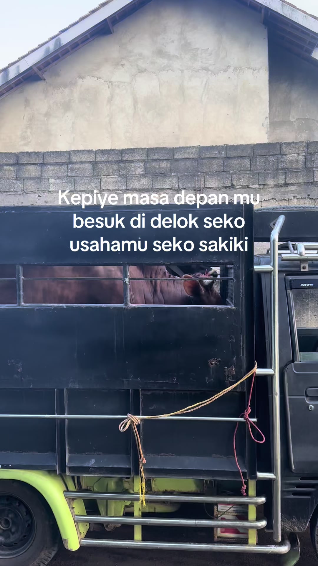 @Diah ayu komalasari