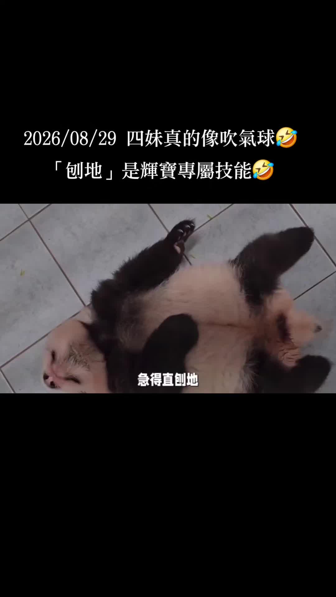 @福寶需要愛的抱抱