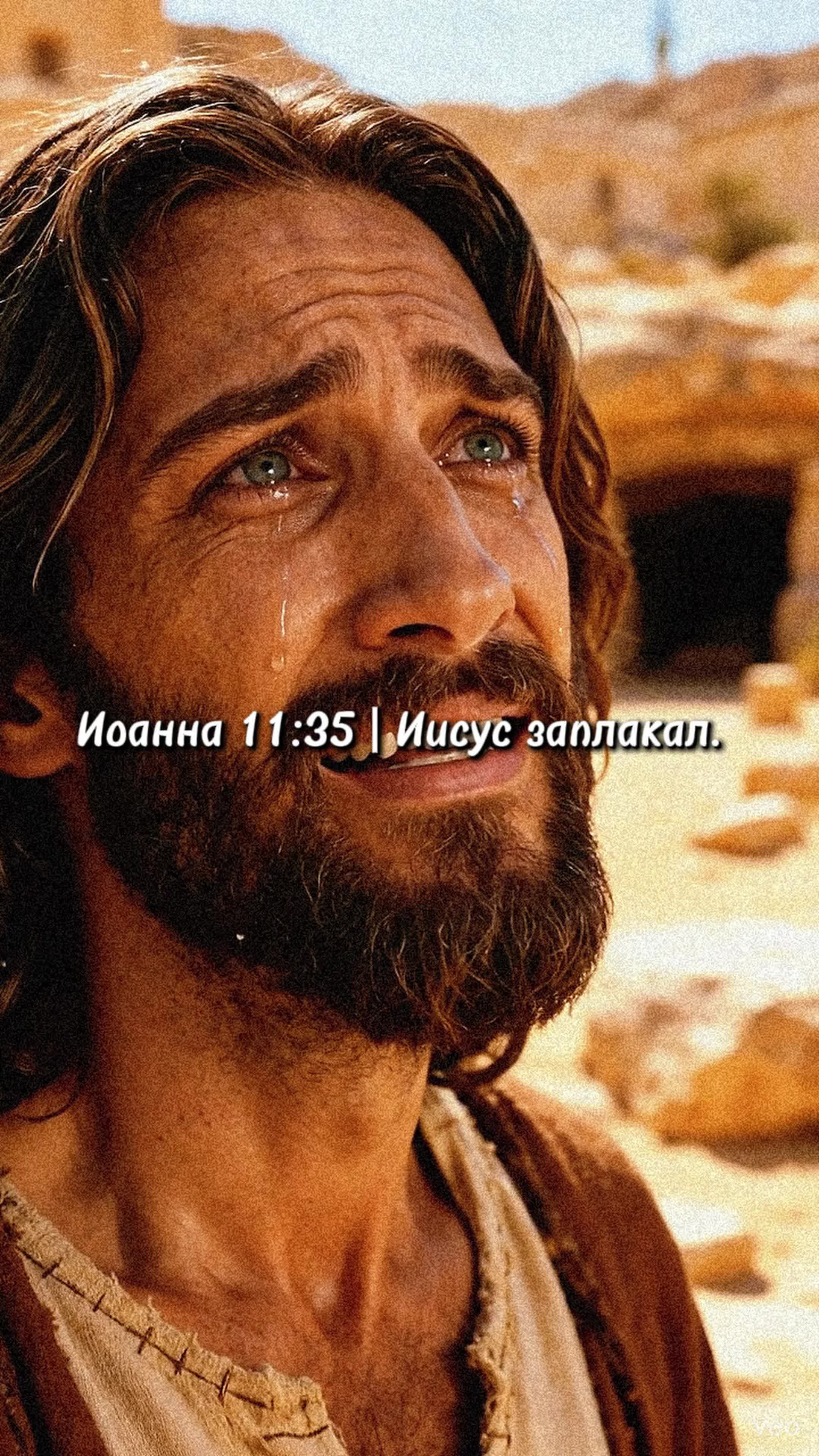 @Bibledoor