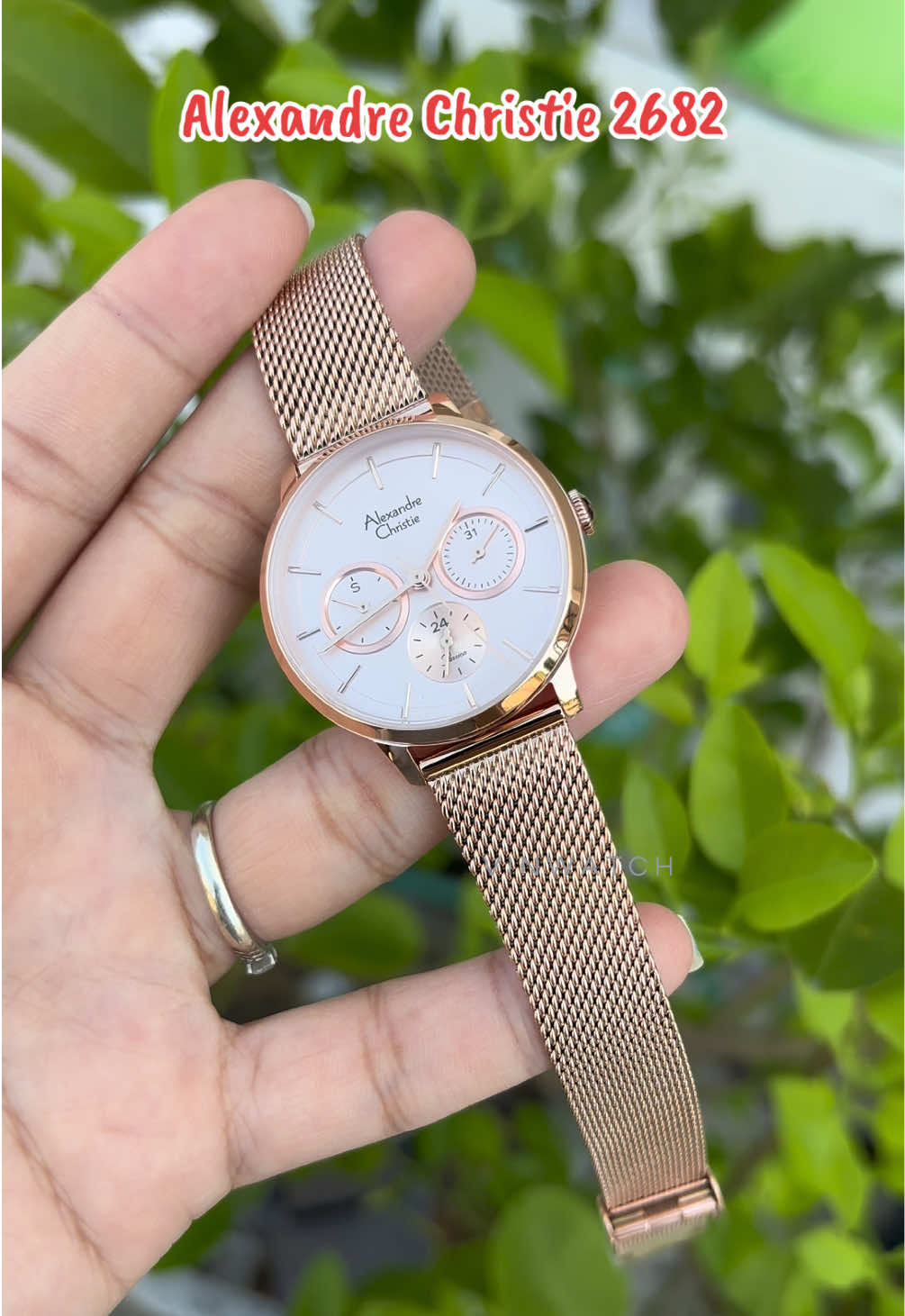 @vinwatch