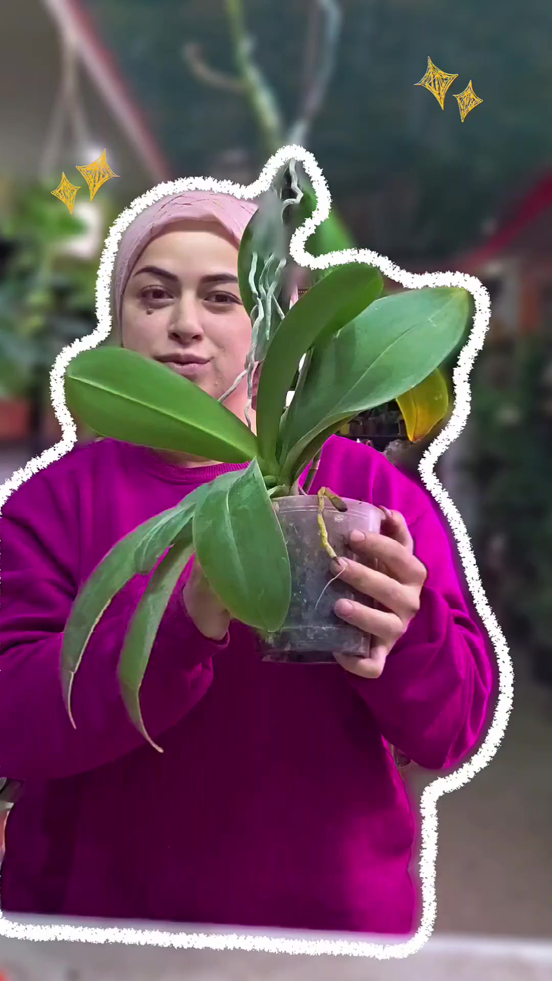 @Botanik bah&ccedil;esi flora