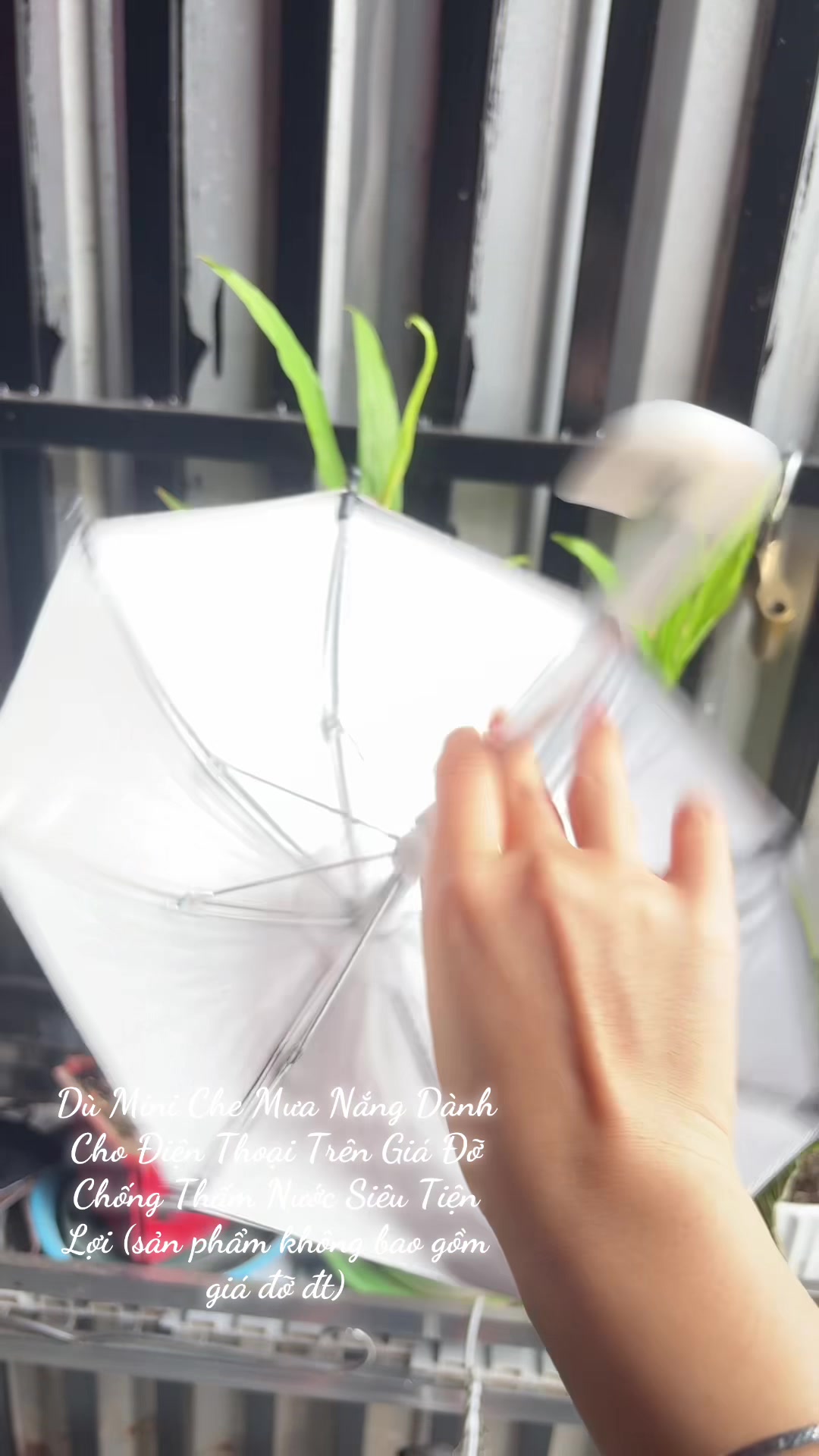 @B&eacute; T&iacute;m Shop &hearts;️