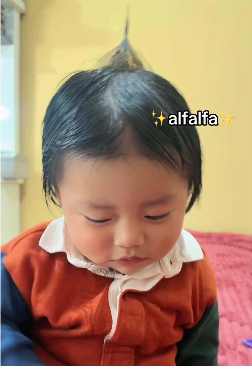 @Mikaela Abigail 🌻