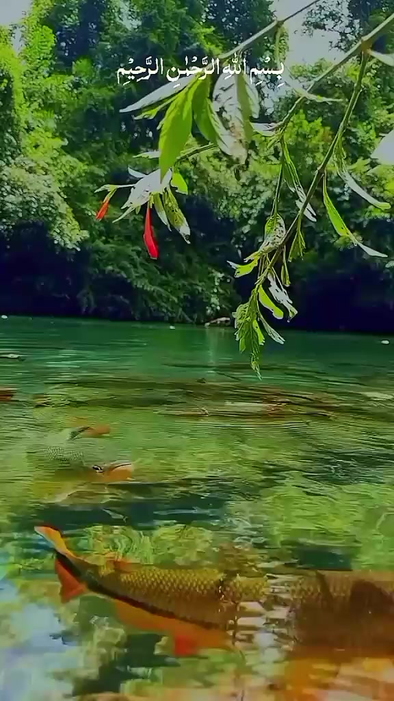 @🇲 🇺 🇸 🇦 🇼 🇦 🇷 𝑴.😍.P