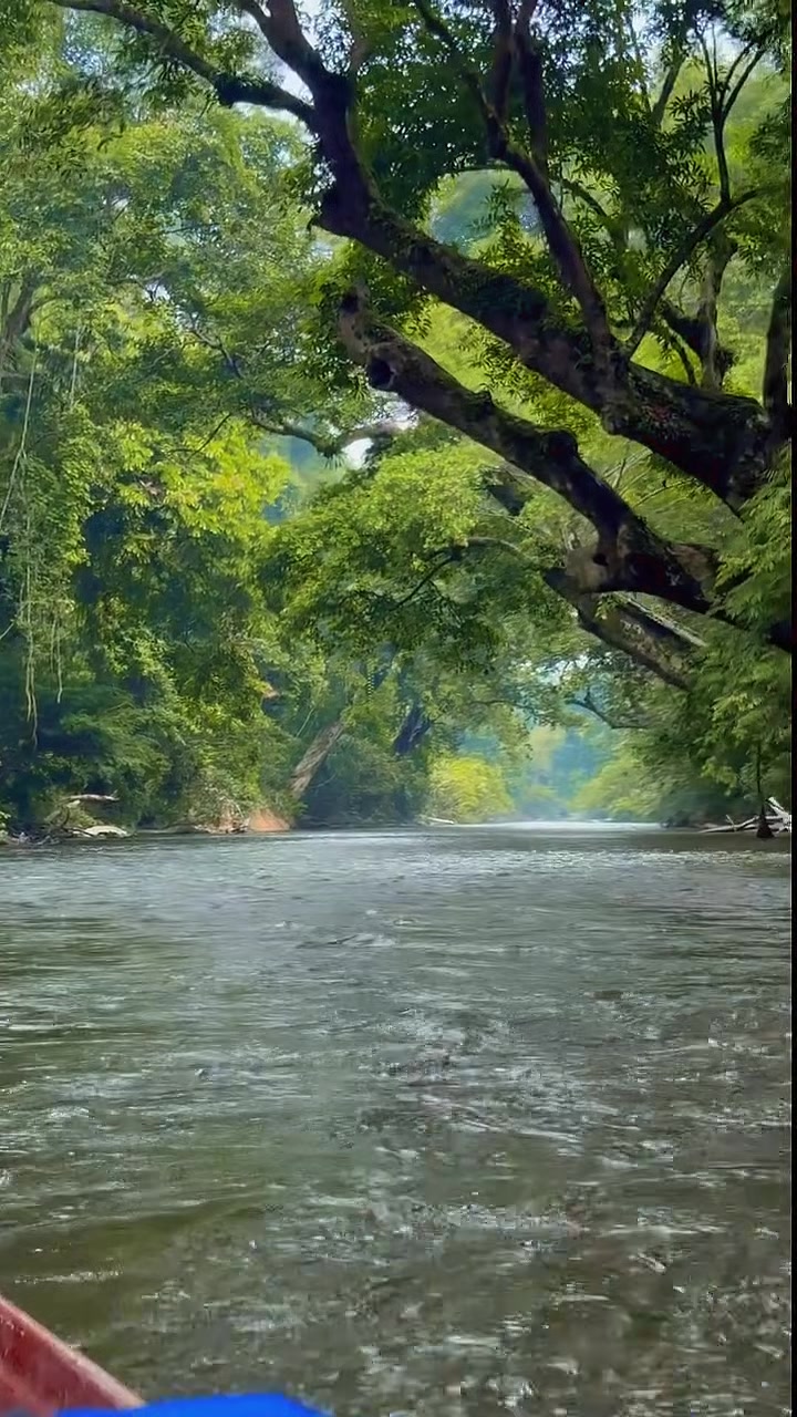 @Nature vibes