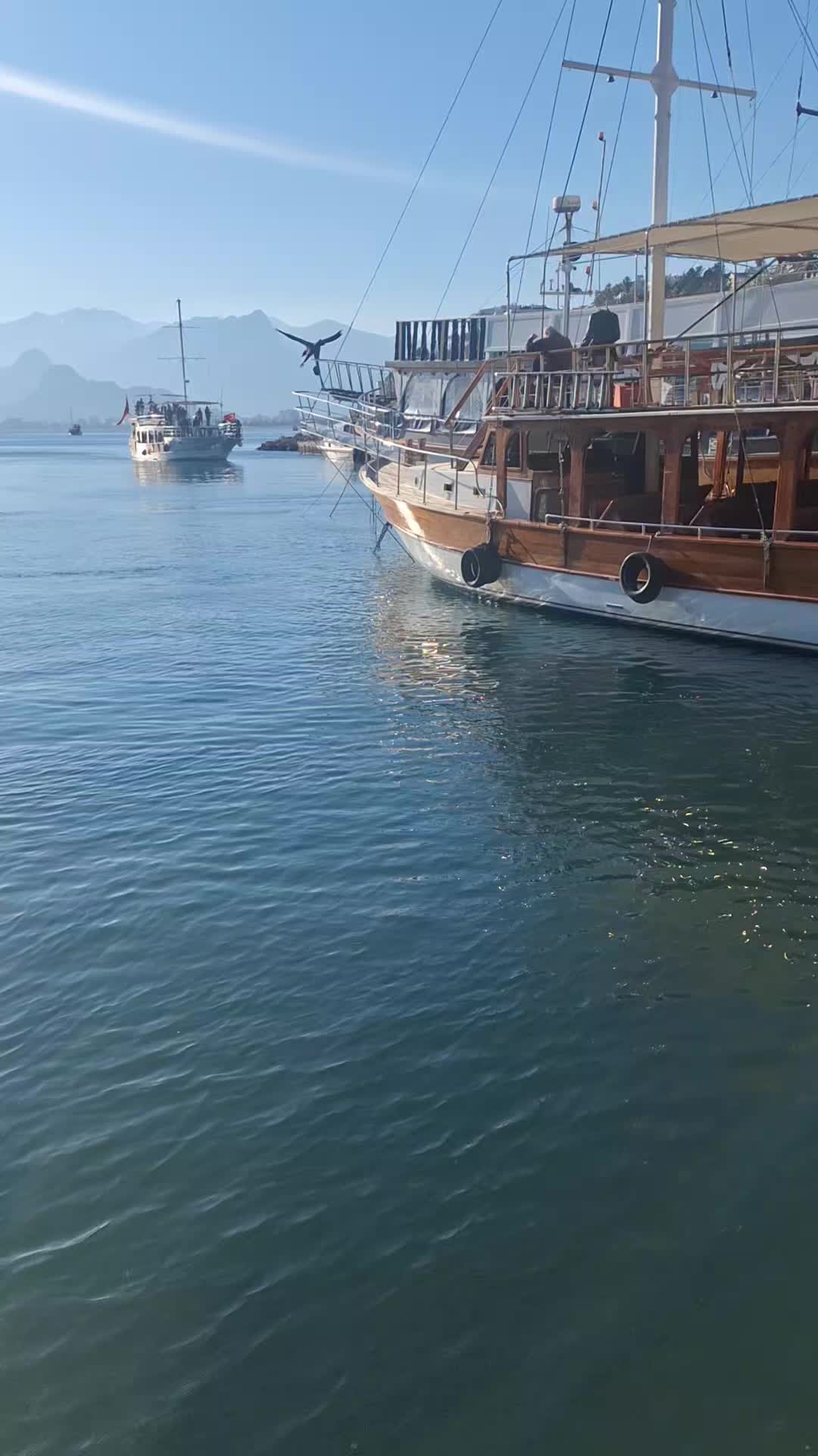 @karasevda
