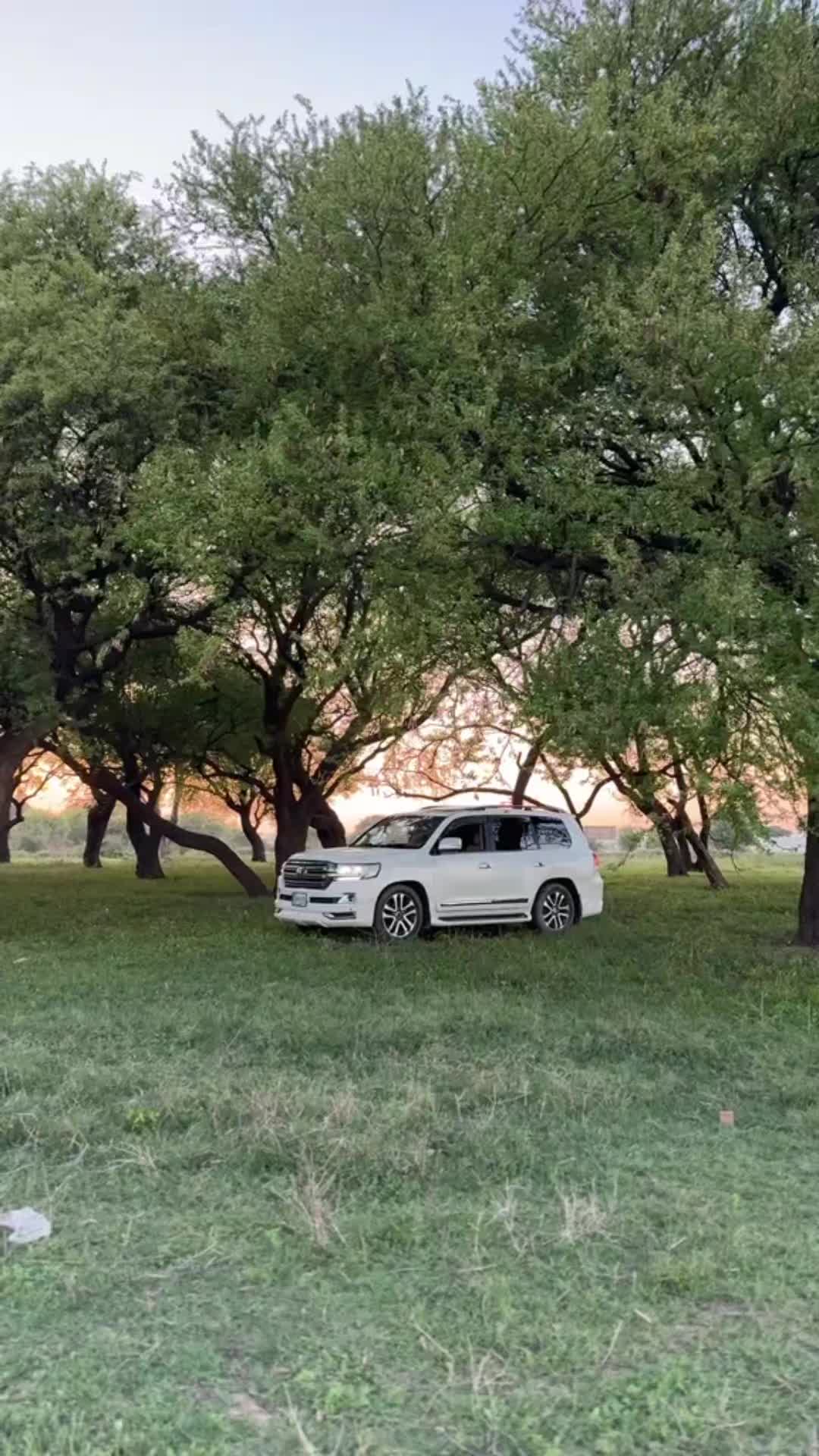 @موسی زمان