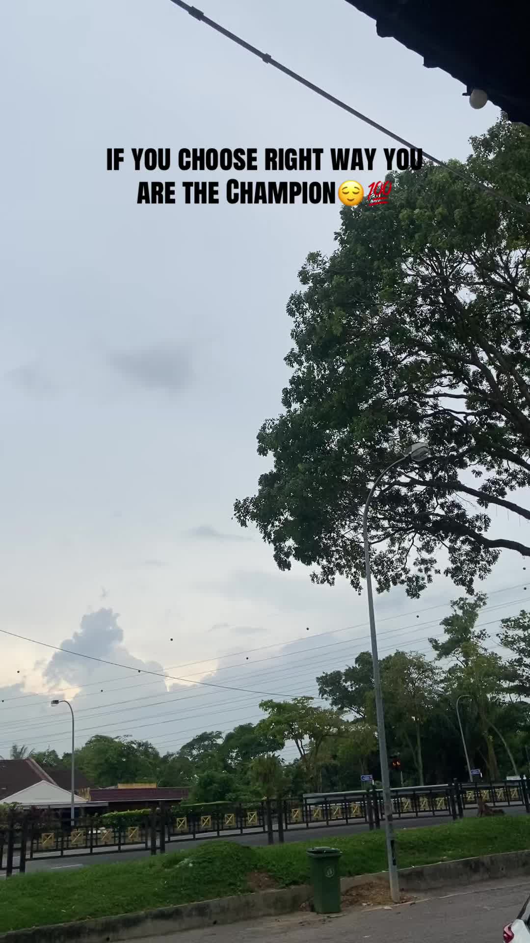 @viniyysdelights
