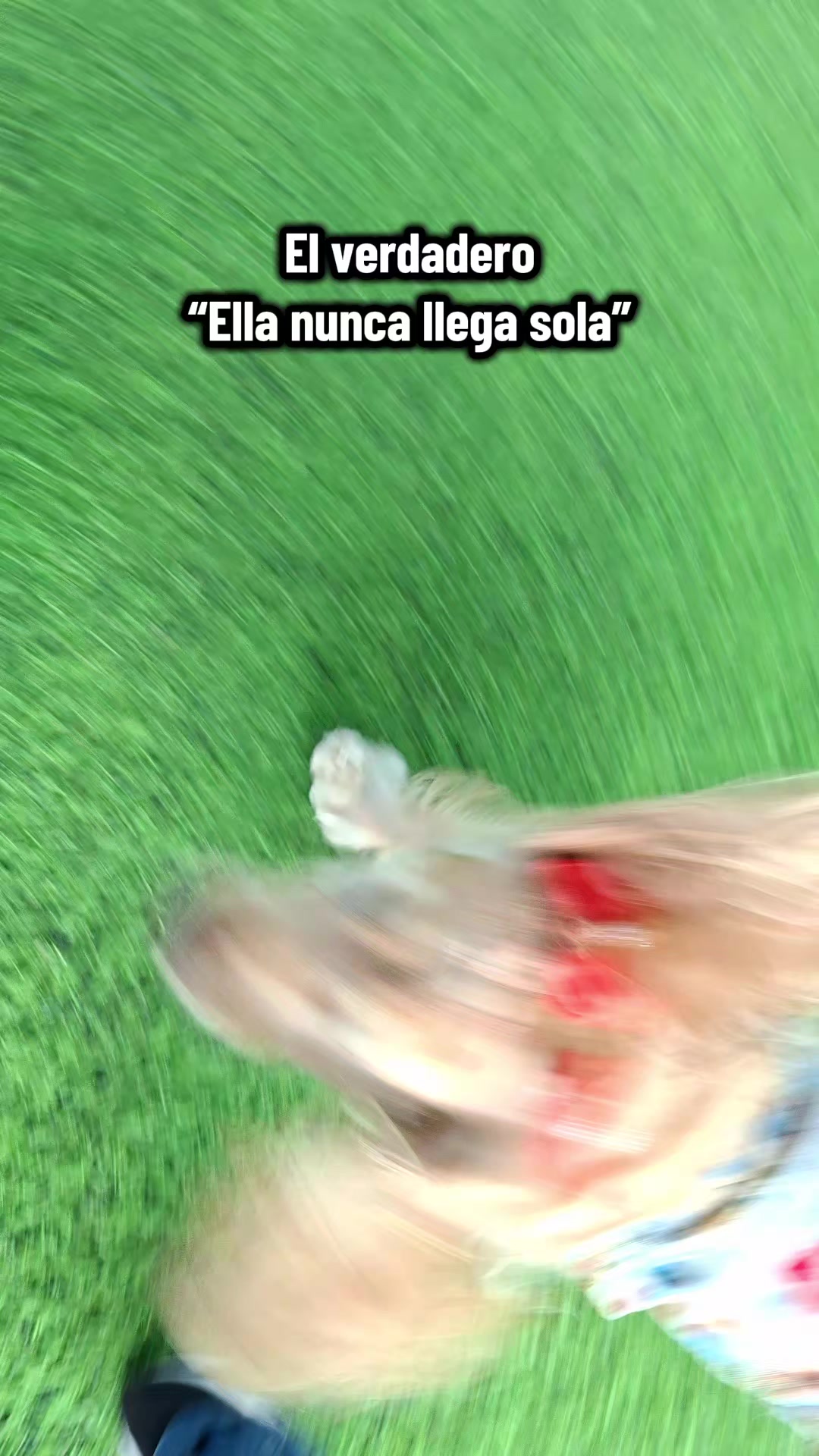 @⚘️♡ ꕷꛅꛎꚲꚶ 𖦪𖣠 ♡⚘️