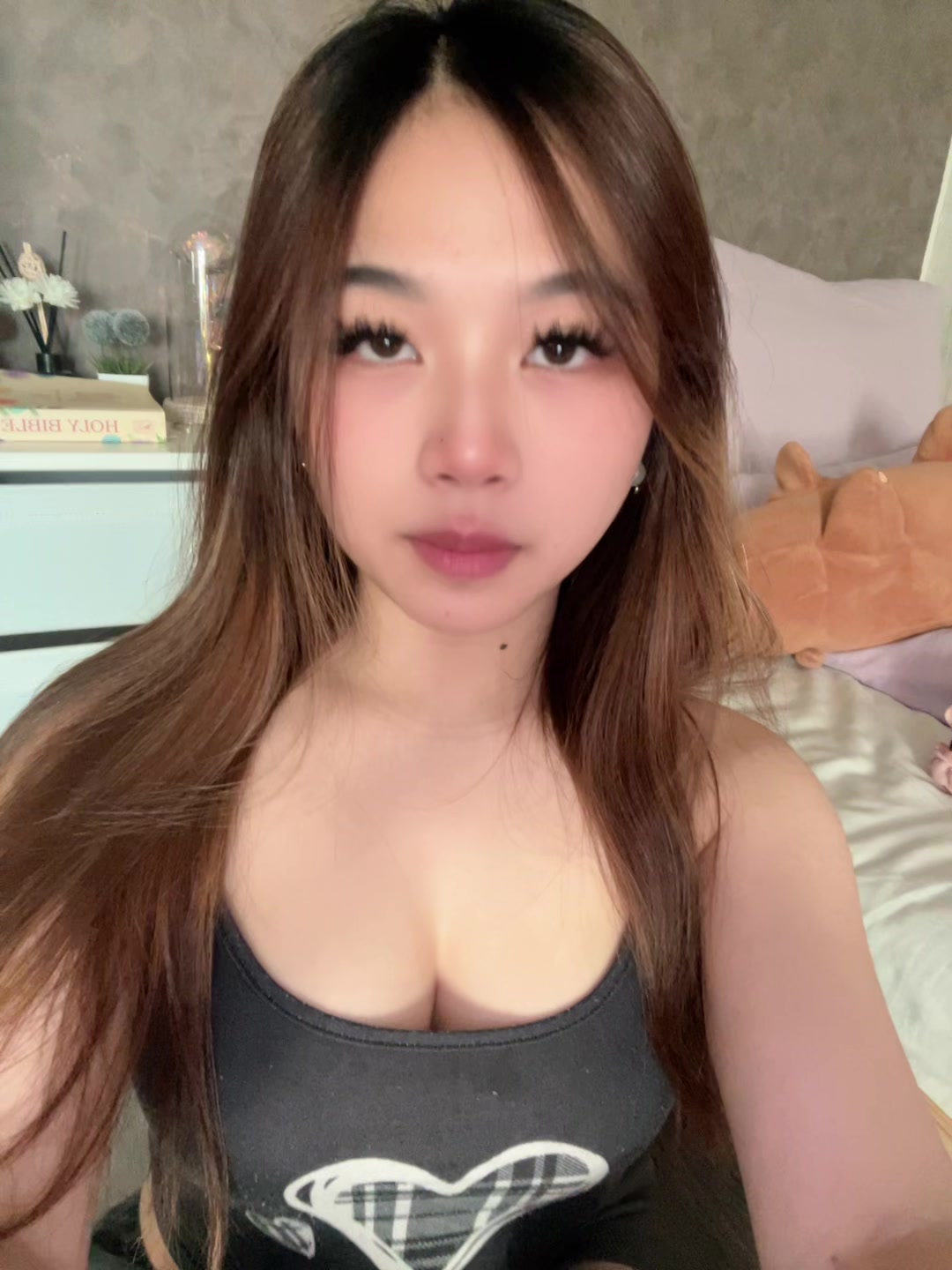 @≽^• ˕ • ྀི≼