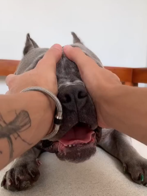 @uxifnfsiyyn