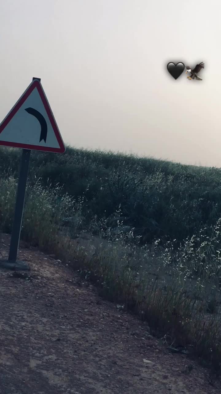 @๐ฆโณÌ $๐ตÕ๐