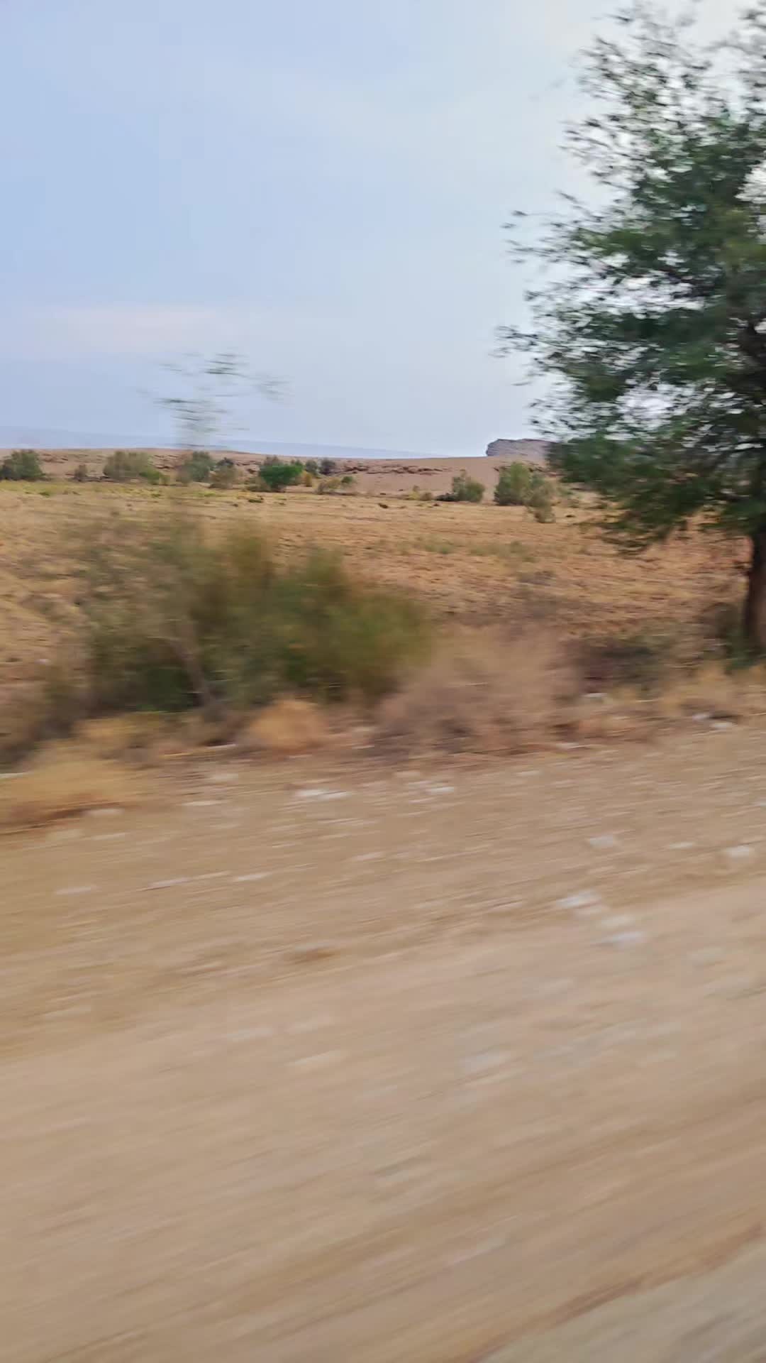 @Raja Parmar 876