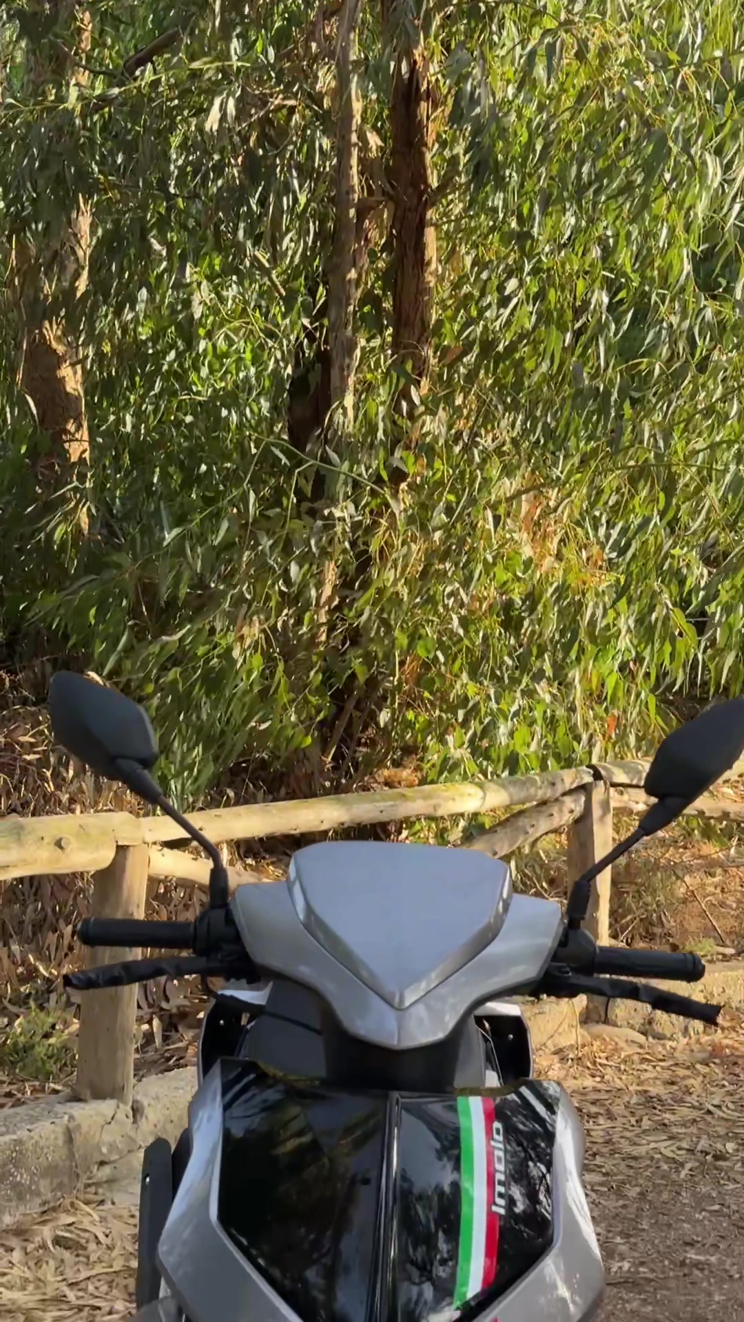 @🏍️ Houssem Caza Moto TN
