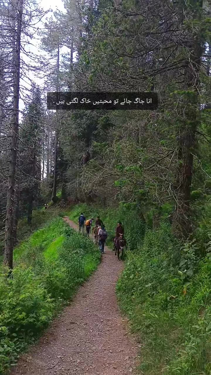 @awais.khan_01🩺